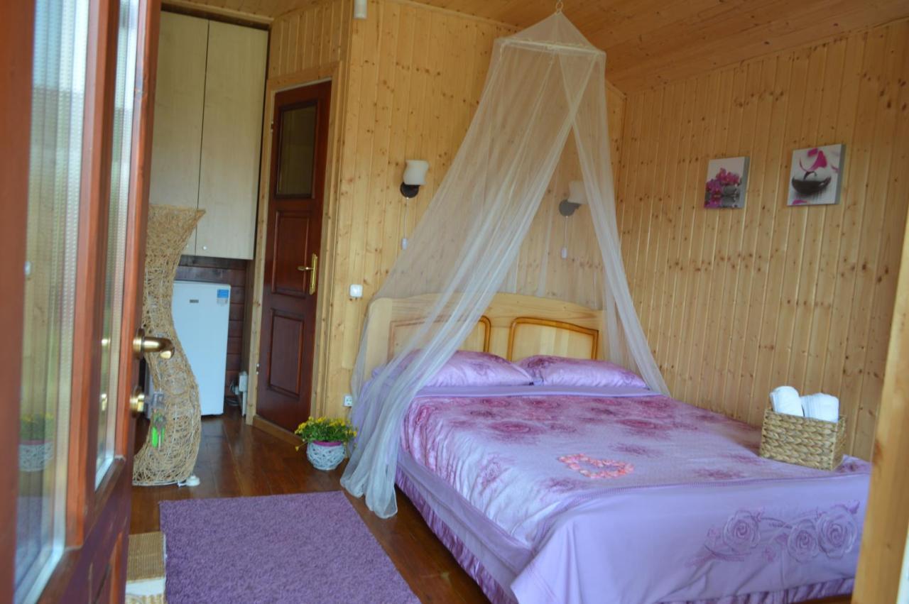 Cabane De Lemn كوستِنيست المظهر الخارجي الصورة
