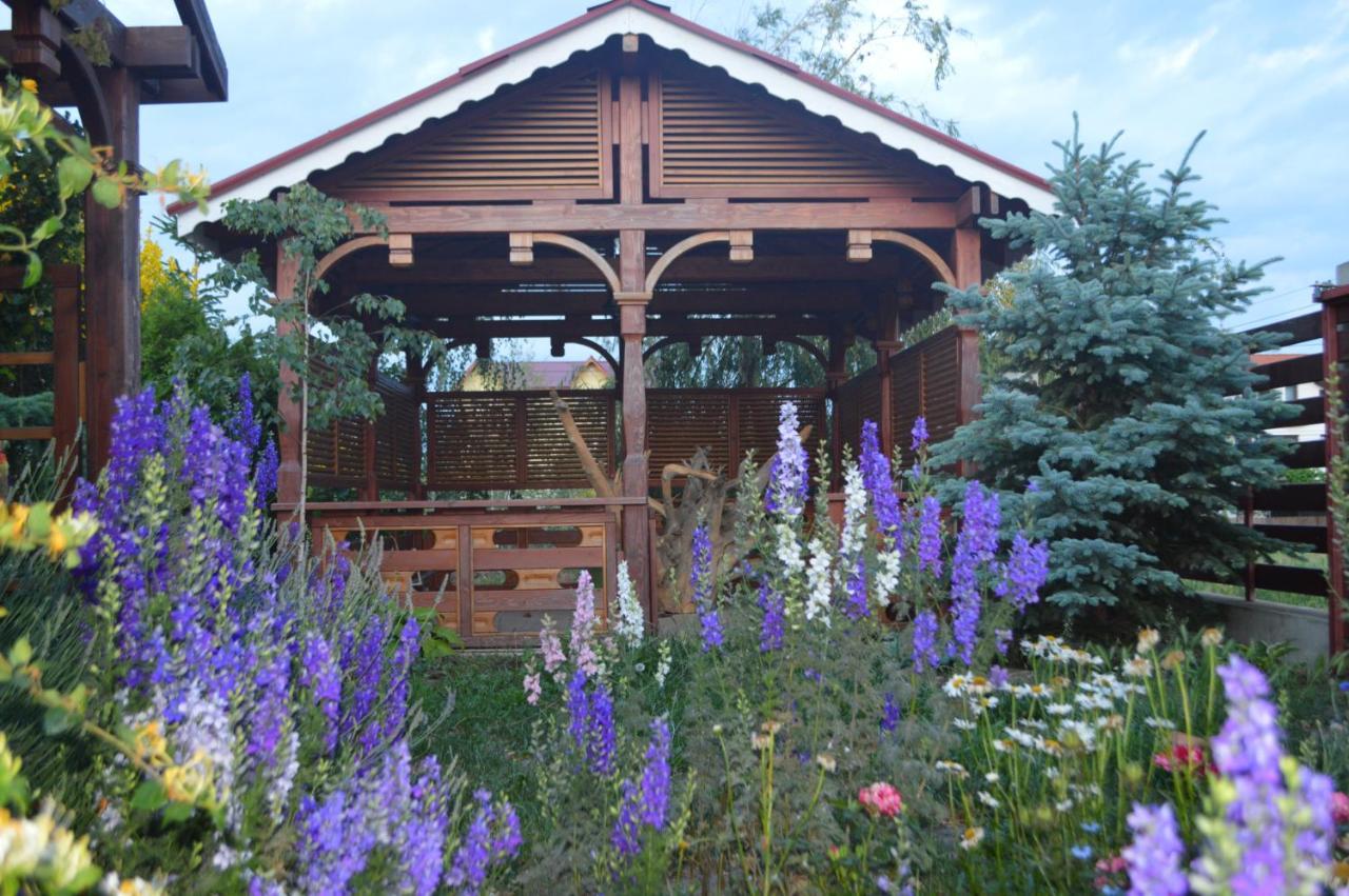 Cabane De Lemn كوستِنيست المظهر الخارجي الصورة